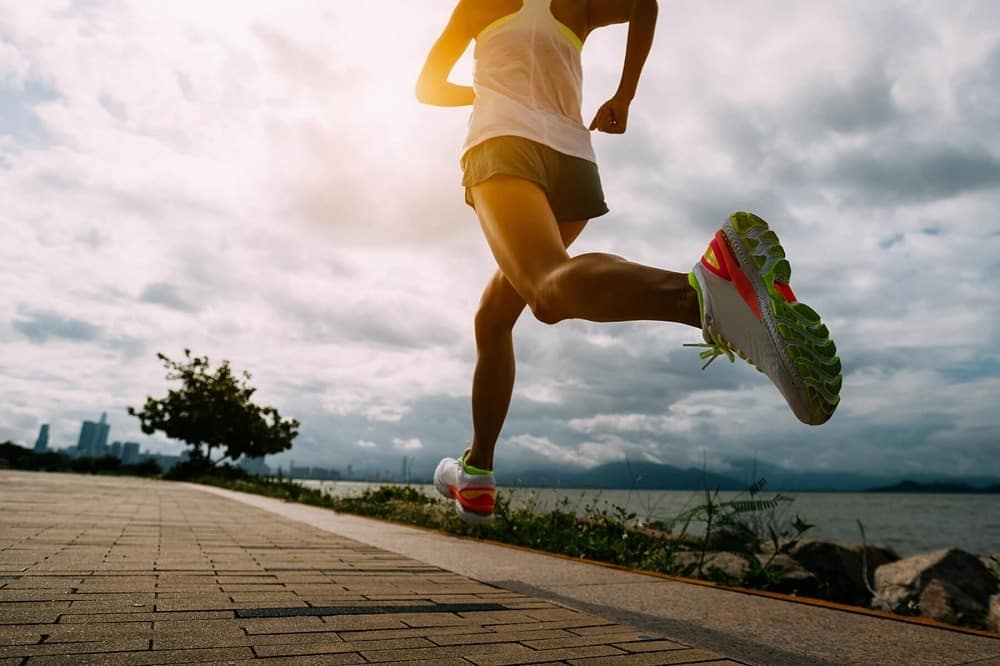 静岡県を走りまくろう！