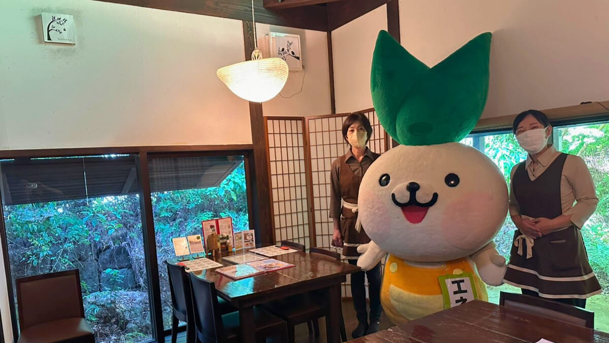 ～エネフィが行く！食の旅～和風フレンチレストラン「杜のふう」さん♪