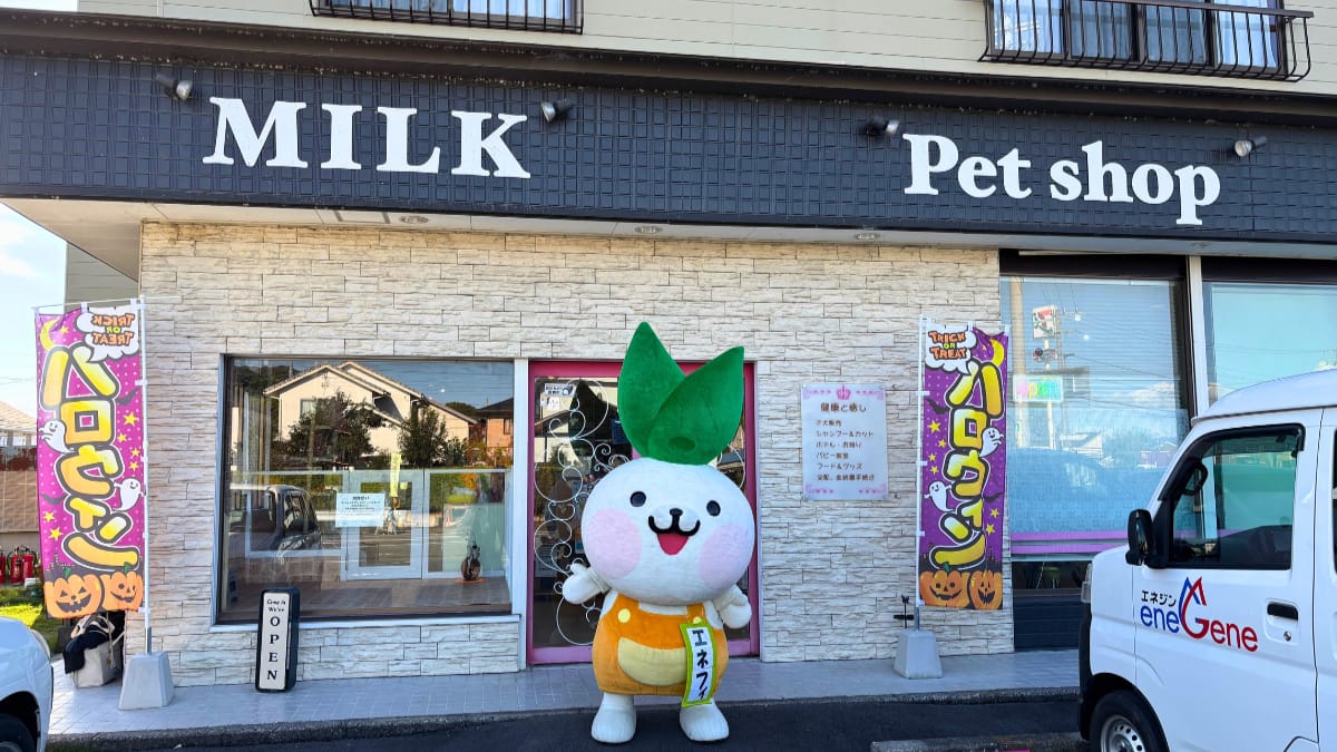 ～エネフィが行く～ペットの旅！「トリミングサロンMILK袋井店」さん♪
