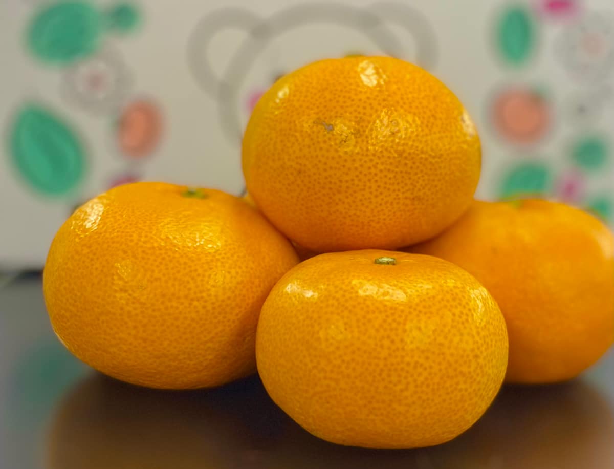 美味しいみかんの見分け方
