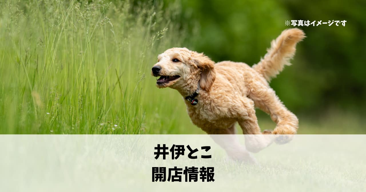 引佐町に『井伊とこ』が5月5日にオープンします！