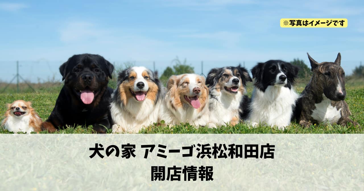 篠ケ瀬町に『犬の家 アミーゴ浜松和田店』が2026年3月18日にオープンします！