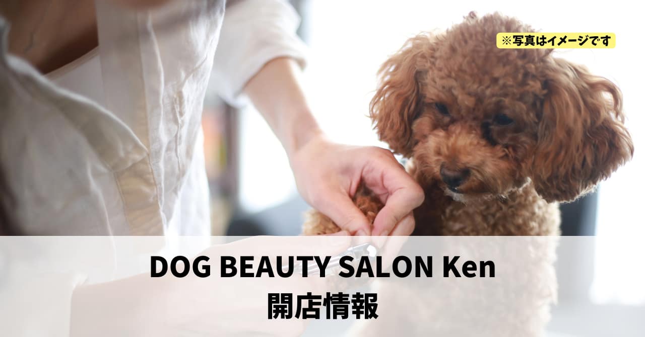 高林に『DOG BEAUTY SALON Ken』が2026年4月25日にオープンします！