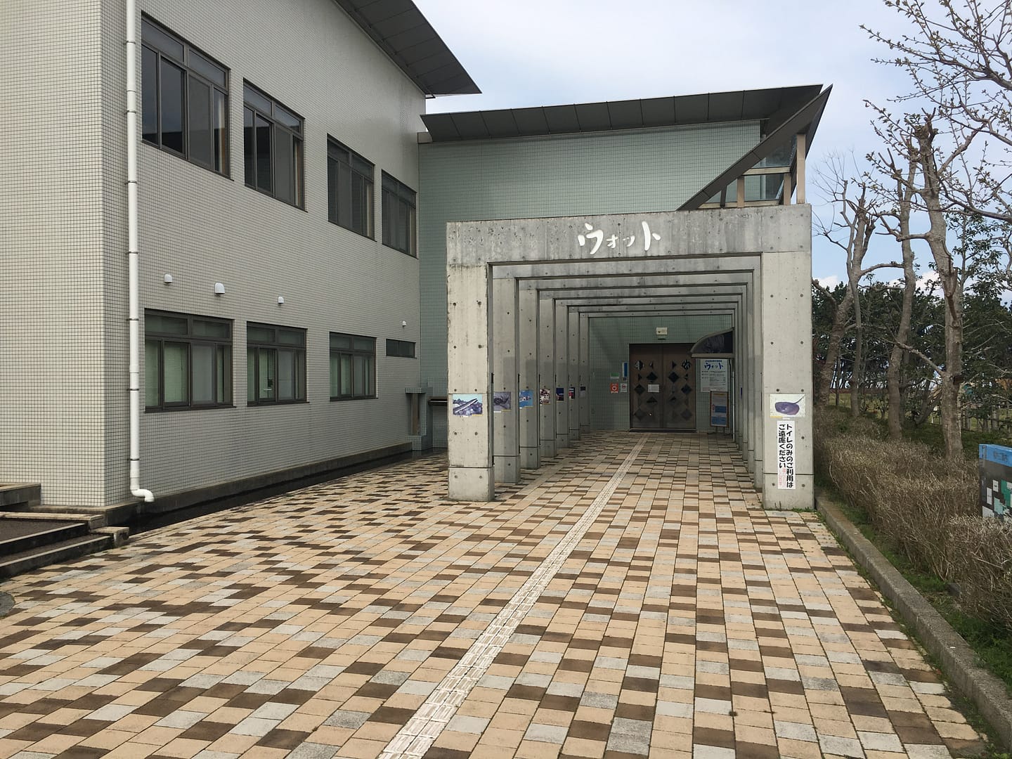 浜松の水族館！ウォットでサメ展開催中だよ～＼(^o^)／