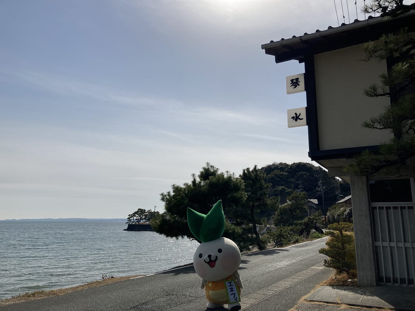 ～エネフィが行く～旅館の旅！『割烹旅館　琴水』さん