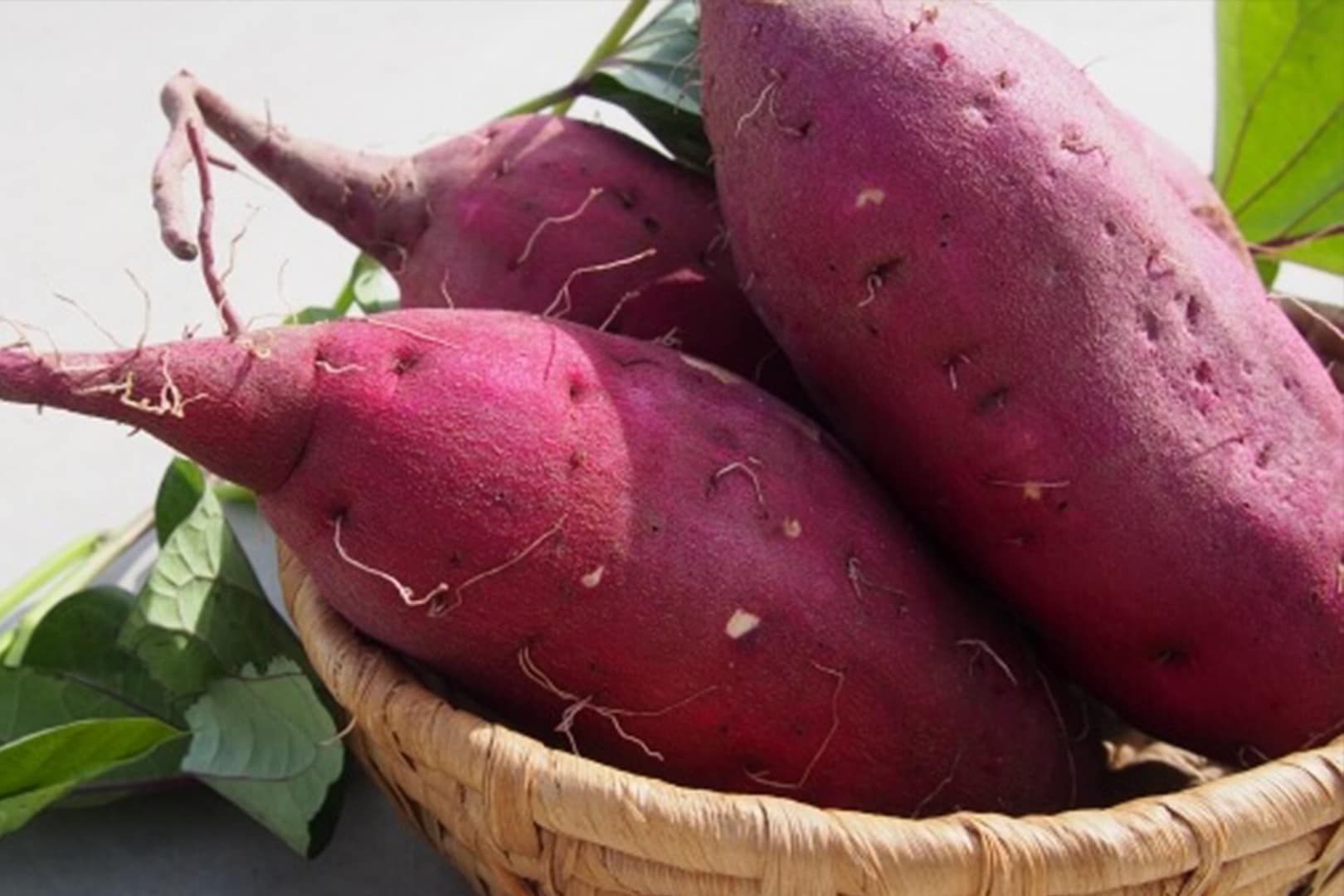 秋の味覚で体調管理！？作り方レシピのご紹介