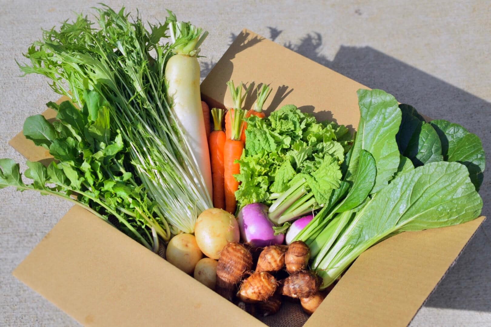 #エネフィじまんの浜松パワーフード「フォトコンテストで旬野菜をＧＥＴしよう」