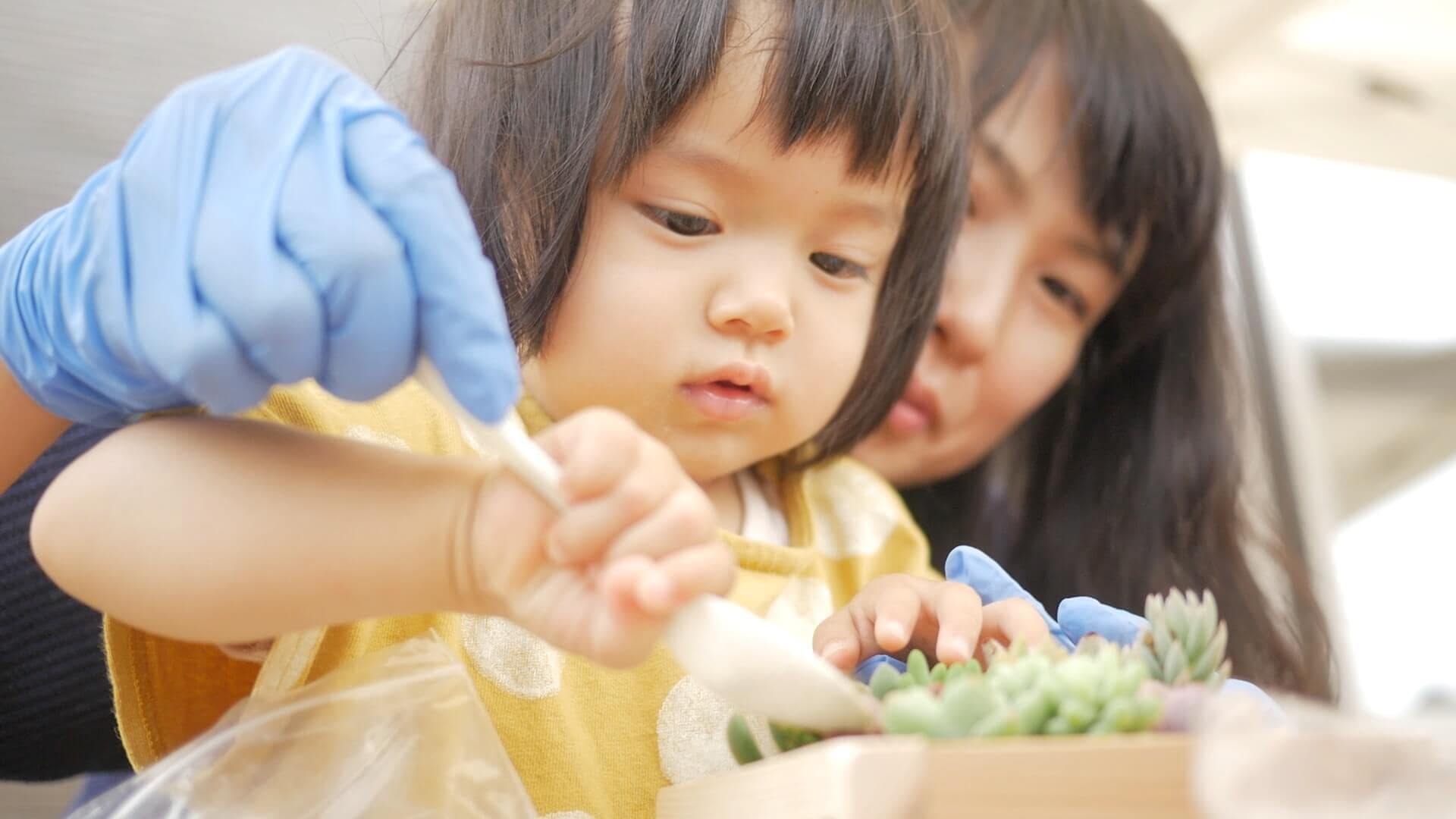 木製プランター＆多肉植物寄せ植え体験と新築住宅見学（ママレポーターより）