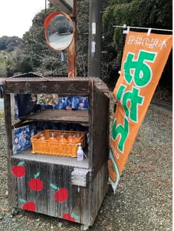みかんの無人販売所を見つけたよ！