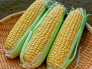 928e349927a910366a76ef37e0cf67a6_s