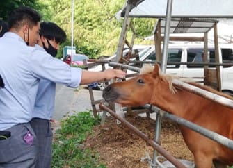 オイスカ高校発信！「佐藤牧場」さんをご紹介♪2021