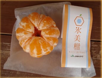 浜松湖北高校発信！「三ケ日農協」さんを紹介♪