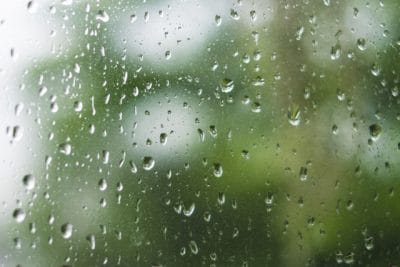 お家で簡単にカビを防ぐ方法