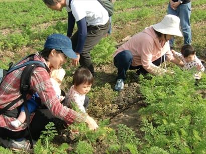 収穫して食べて知る！栄養満点☆有機野菜（ママレポーターより）