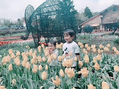 チューリップが見頃ですね（サファリパーク）