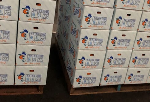 浜松湖北高校発信！「三ケ日農協」さんを紹介♪その②