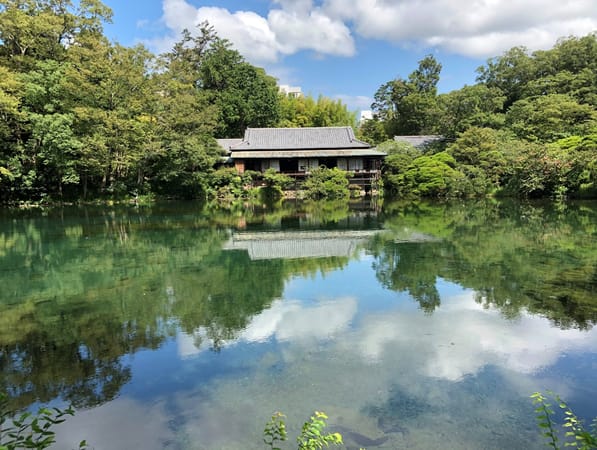 【エネフィ地元PRプロジェクト】水の都・三島に行ってみた！