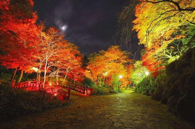 【2017年版】静岡県オススメ絶景紅葉ポイント１０