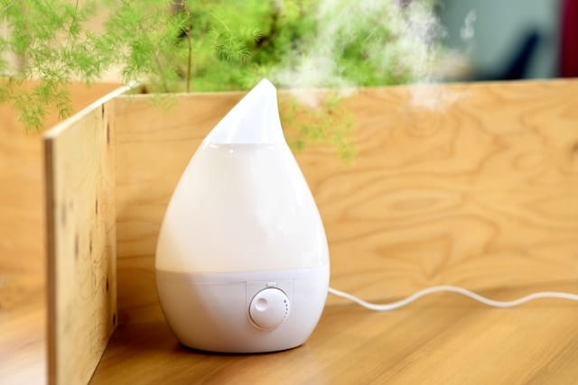 乾燥やウイルスから自分を守る!加湿器の種類と上手な選び方