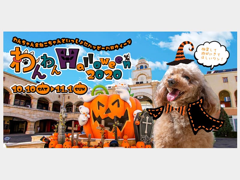 ペットで楽しめるハロウィーンイベント！