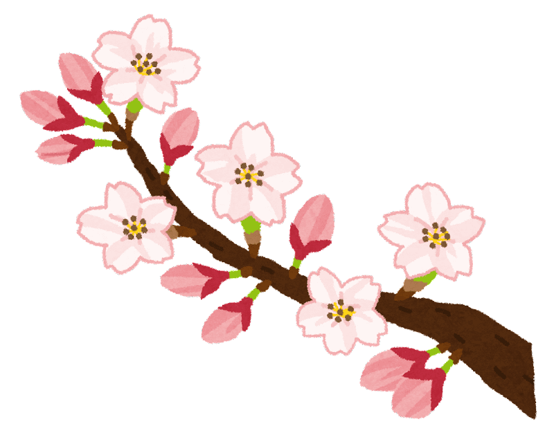 🌸桜・梅・桃🌸お花の見分け方！