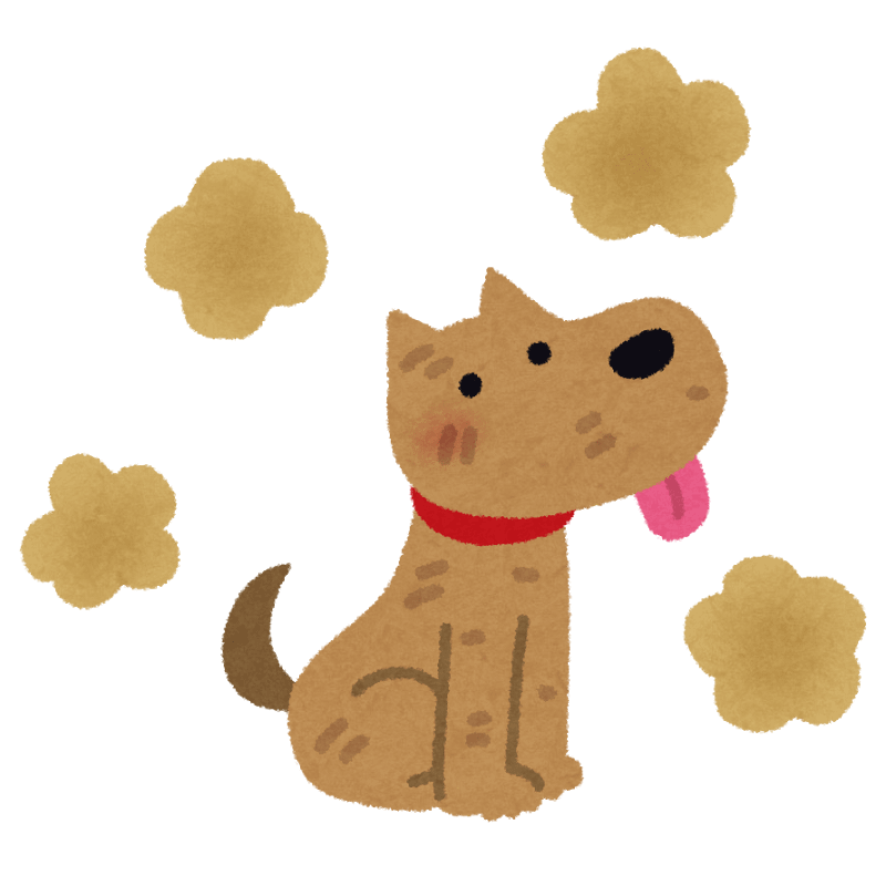 夏がくるよ！！！！ワンちゃんの汗と臭い対策♪