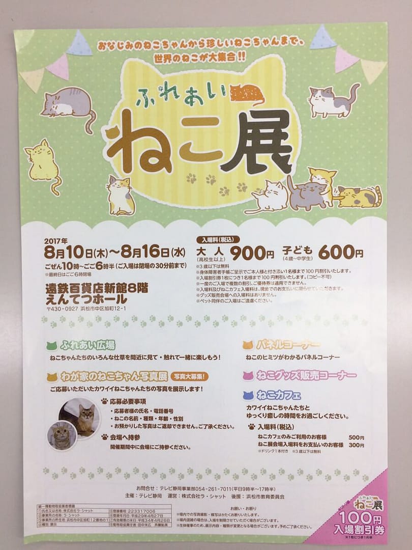 期間限定!世界のねこが大集合!浜松駅周辺でねこと触れ合える「ねこ展」