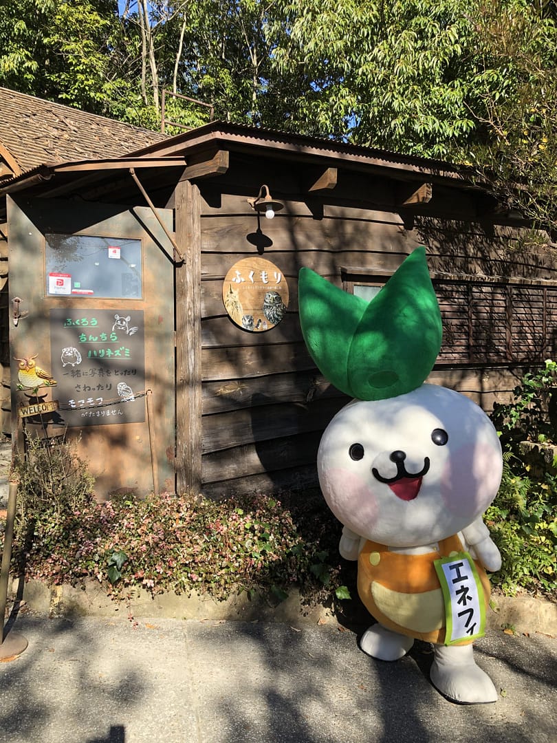 ～エネフィが行く～初！フクロウの旅！『ふくもり』
