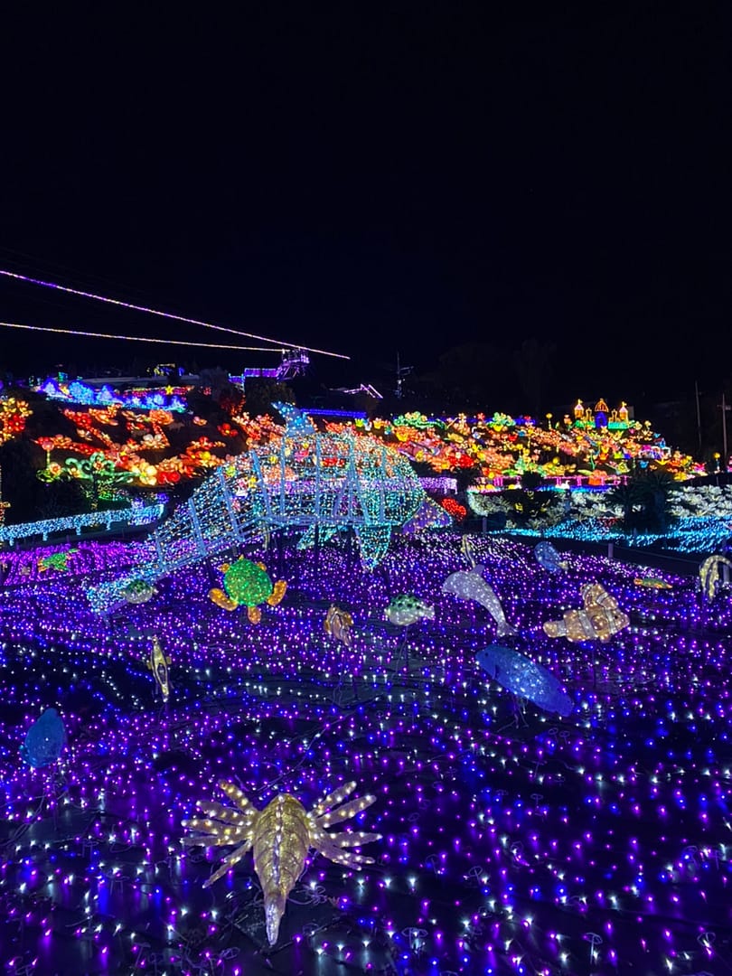 冬といえばイルミネーション！静岡県のおすすめスポットを紹介するよ～(^^♪