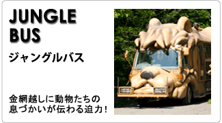 btn_junglebus