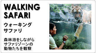 btn_walkingsafari