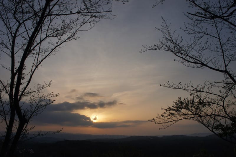 o0800053312523529225