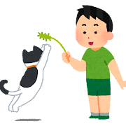 猫と猫じゃらしで遊ぶ人